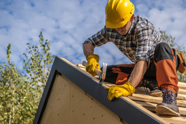 Best Chimney Flashing Repair  in Hugo, MN